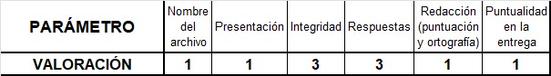 RÚBRICA CUESTIONARIO