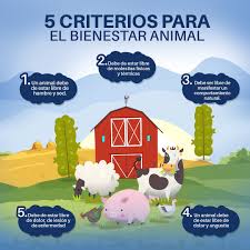 BIO ZOO - El bienestar animal es tan importante que debe... | Facebook