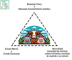 Introducción al Bienestar Animal: Fundamentos y Principios – PENSAMIENTO  ANIMAL