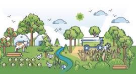 290+ Sistema Agroforestal Ilustraciones Fotografías de stock ...