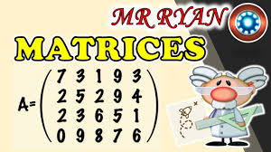 LAS MATRICES Y SU UTILIDAD - YouTube