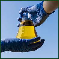 Biodiésel y bioetanol: diferencias y cuál es más sostenible