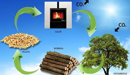 Energía de biomasa o bioenergía: cómo funciona, ejemplos reales