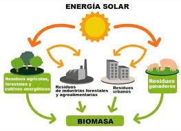 La biomasa, fuente de energía renovable de gran potencial