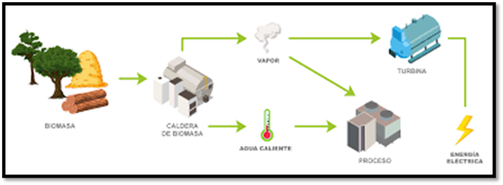 Aprovechamiento de Biomasa