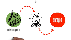 Cómo funciona la biomasa? | ACCIONA - YouTube