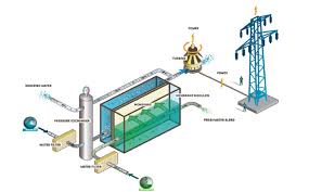 Energía marina: el potencial salino de Colombia